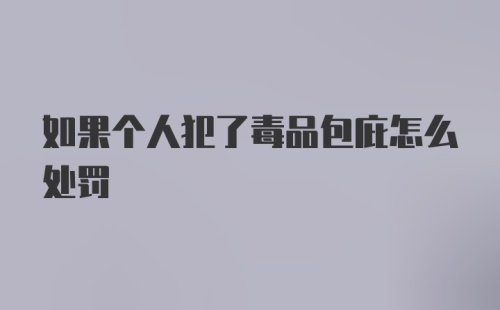 如果个人犯了毒品包庇怎么处罚