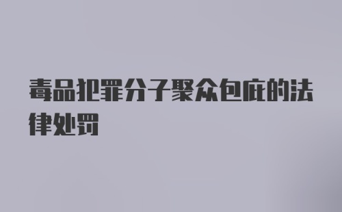 毒品犯罪分子聚众包庇的法律处罚