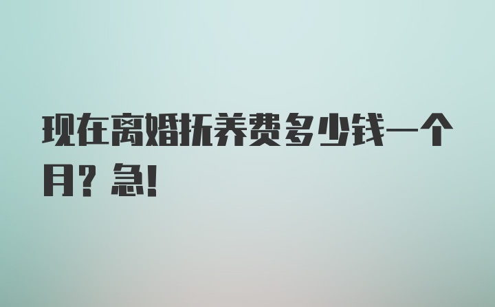 现在离婚抚养费多少钱一个月？急！