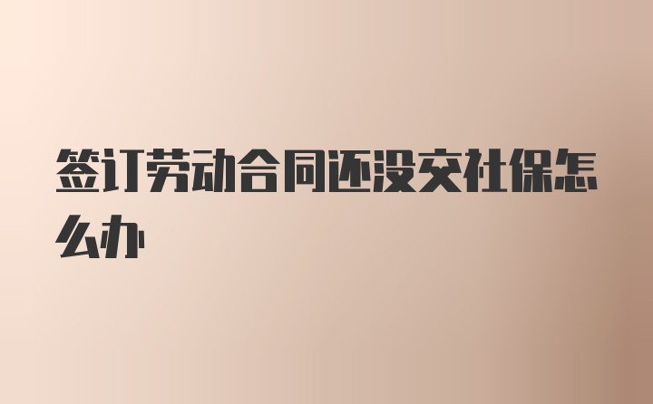 签订劳动合同还没交社保怎么办