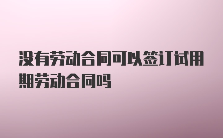 没有劳动合同可以签订试用期劳动合同吗