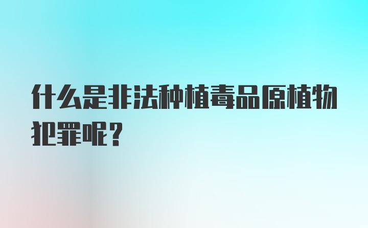 什么是非法种植毒品原植物犯罪呢？