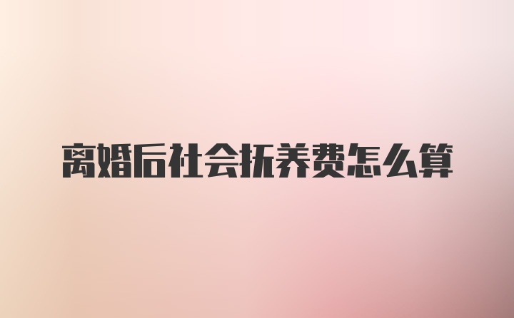 离婚后社会抚养费怎么算