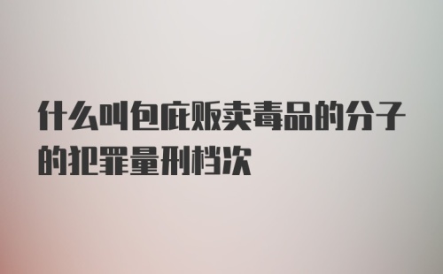 什么叫包庇贩卖毒品的分子的犯罪量刑档次