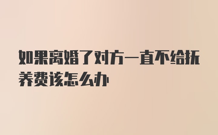 如果离婚了对方一直不给抚养费该怎么办