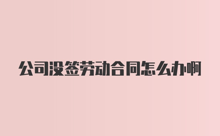 公司没签劳动合同怎么办啊