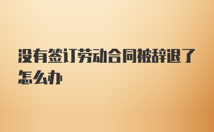 没有签订劳动合同被辞退了怎么办