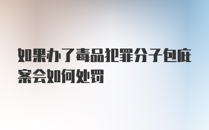 如果办了毒品犯罪分子包庇案会如何处罚