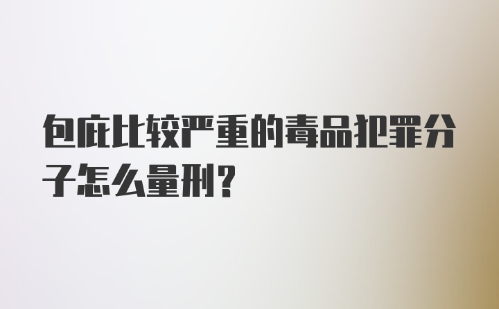 包庇比较严重的毒品犯罪分子怎么量刑?