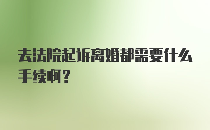 去法院起诉离婚都需要什么手续啊?