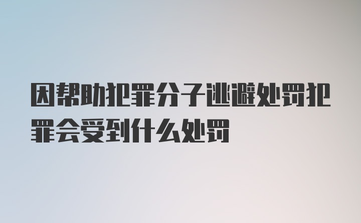 因帮助犯罪分子逃避处罚犯罪会受到什么处罚