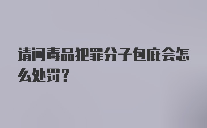 请问毒品犯罪分子包庇会怎么处罚？