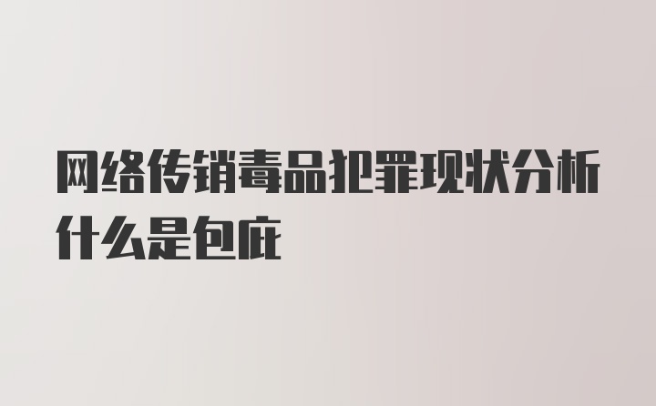 网络传销毒品犯罪现状分析什么是包庇