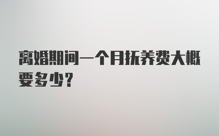 离婚期间一个月抚养费大概要多少?