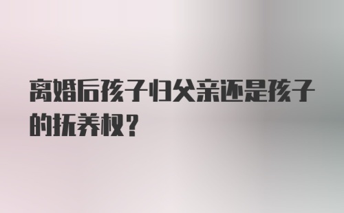 离婚后孩子归父亲还是孩子的抚养权？