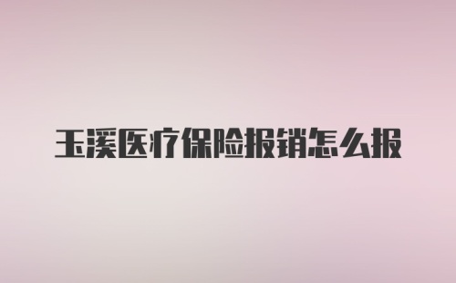 玉溪医疗保险报销怎么报