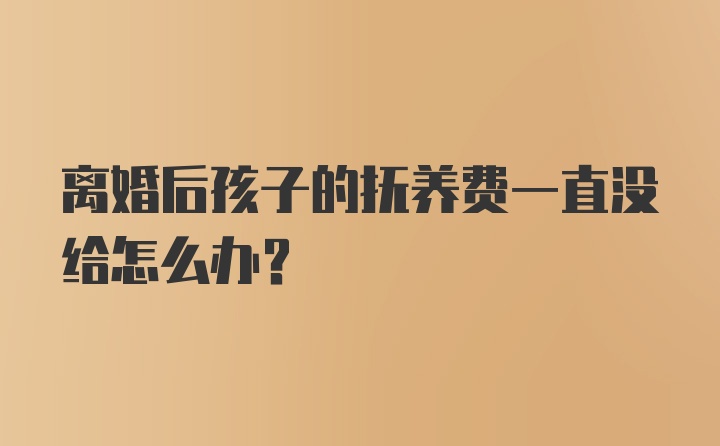 离婚后孩子的抚养费一直没给怎么办？