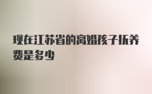 现在江苏省的离婚孩子抚养费是多少