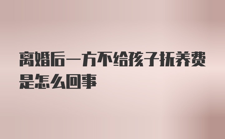 离婚后一方不给孩子抚养费是怎么回事