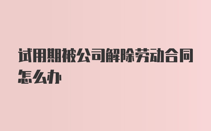 试用期被公司解除劳动合同怎么办