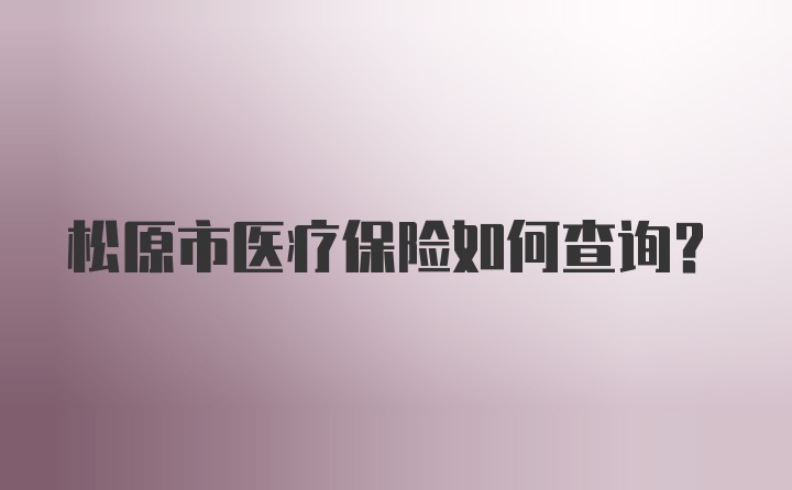 松原市医疗保险如何查询?