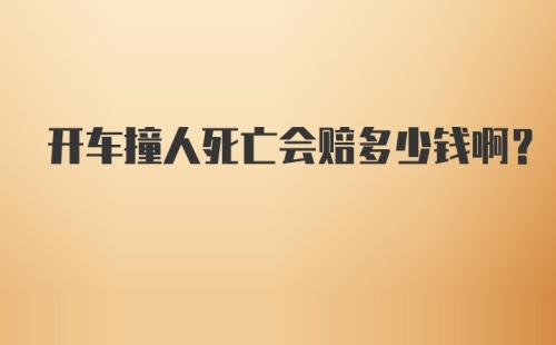 开车撞人死亡会赔多少钱啊？