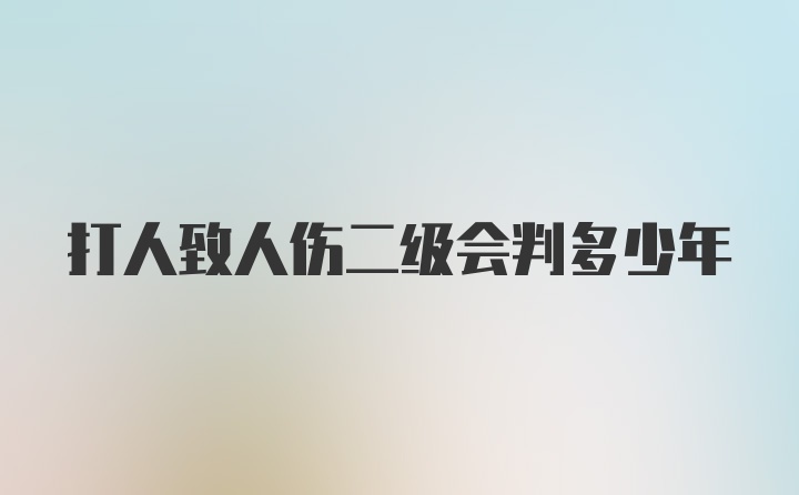 打人致人伤二级会判多少年