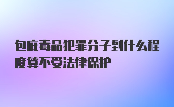 包庇毒品犯罪分子到什么程度算不受法律保护