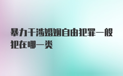 暴力干涉婚姻自由犯罪一般犯在哪一类