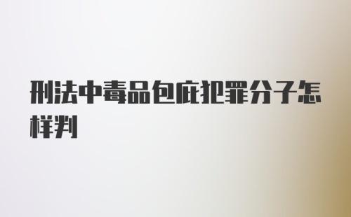 刑法中毒品包庇犯罪分子怎样判