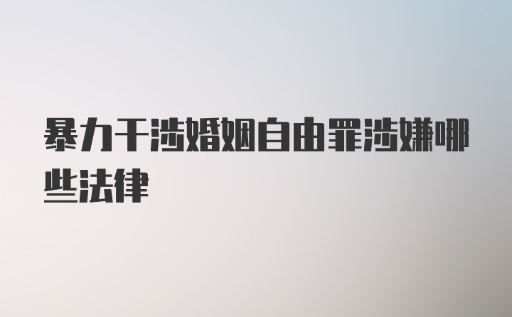 暴力干涉婚姻自由罪涉嫌哪些法律