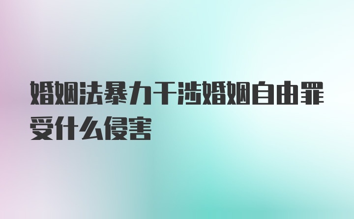 婚姻法暴力干涉婚姻自由罪受什么侵害