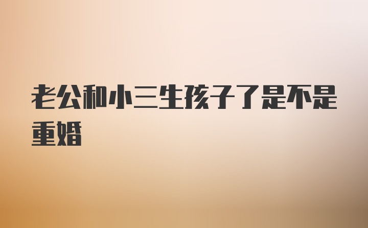 老公和小三生孩子了是不是重婚