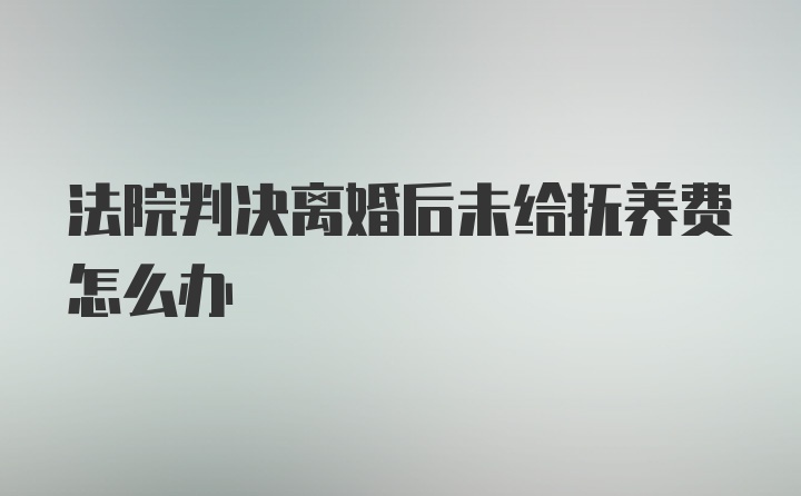 法院判决离婚后未给抚养费怎么办