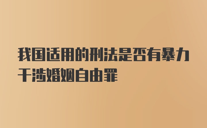 我国适用的刑法是否有暴力干涉婚姻自由罪