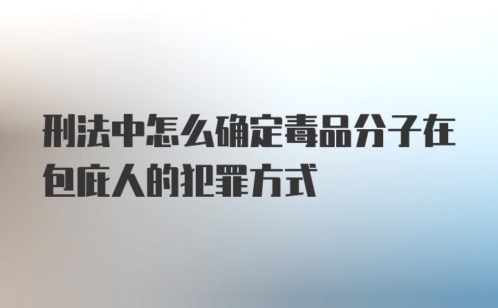 刑法中怎么确定毒品分子在包庇人的犯罪方式