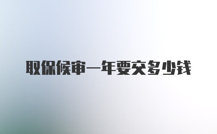 取保候审一年要交多少钱