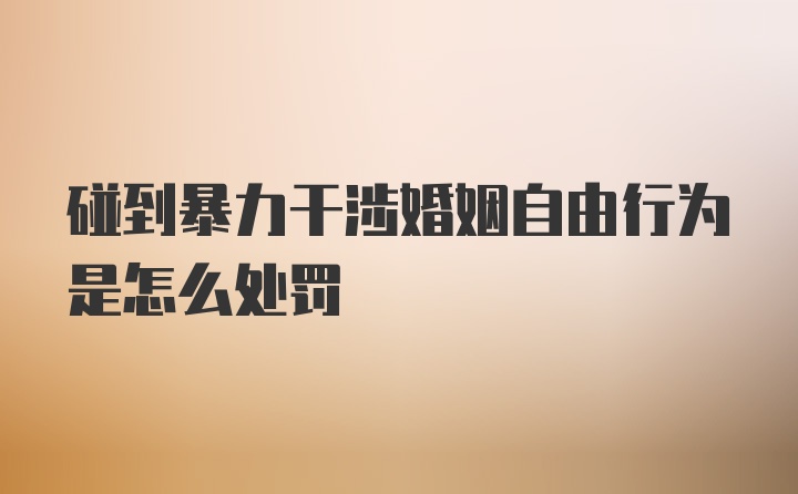 碰到暴力干涉婚姻自由行为是怎么处罚