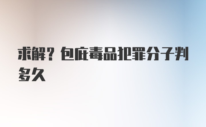 求解？包庇毒品犯罪分子判多久