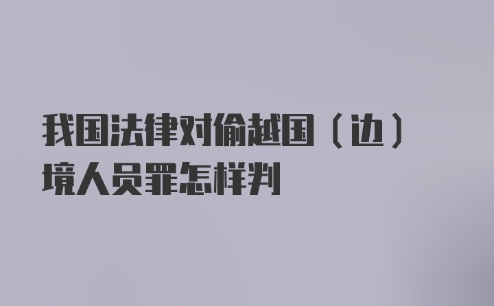 我国法律对偷越国(边) 境人员罪怎样判