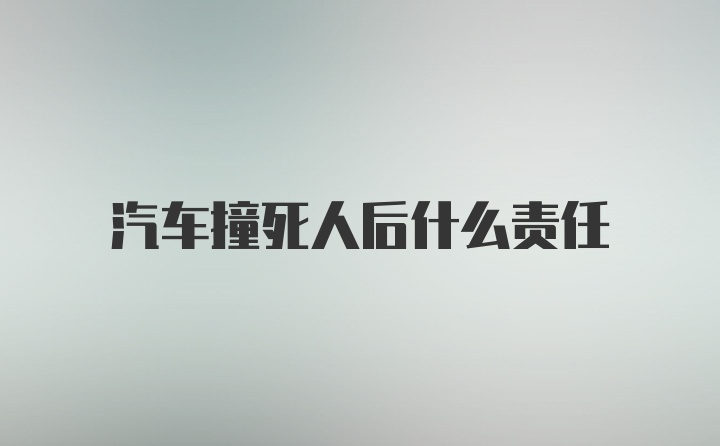 汽车撞死人后什么责任