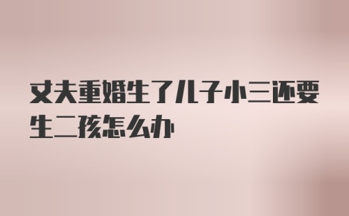 丈夫重婚生了儿子小三还要生二孩怎么办