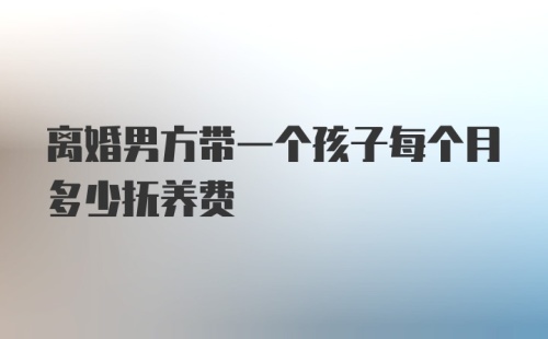 离婚男方带一个孩子每个月多少抚养费