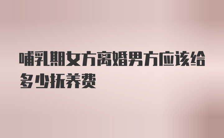 哺乳期女方离婚男方应该给多少抚养费