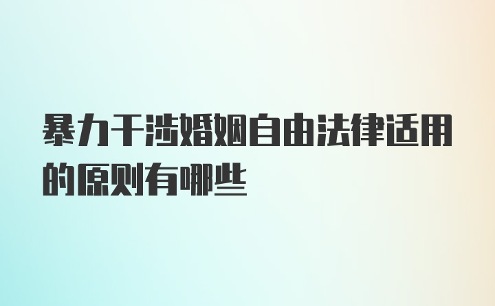 暴力干涉婚姻自由法律适用的原则有哪些