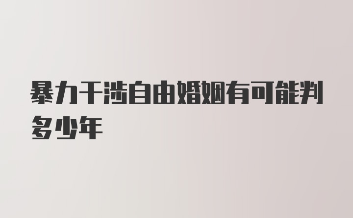 暴力干涉自由婚姻有可能判多少年