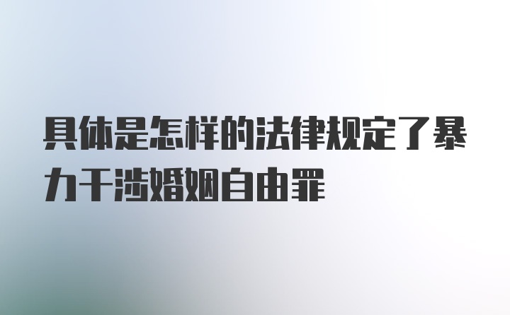 具体是怎样的法律规定了暴力干涉婚姻自由罪