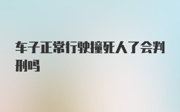 车子正常行驶撞死人了会判刑吗