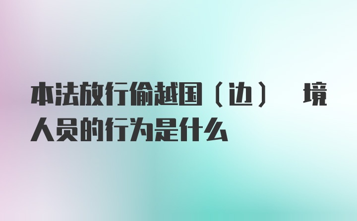 本法放行偷越国(边) 境人员的行为是什么