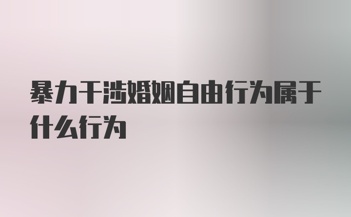 暴力干涉婚姻自由行为属于什么行为